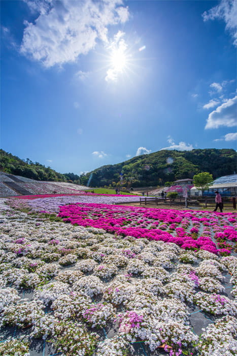 志摩市観光農園