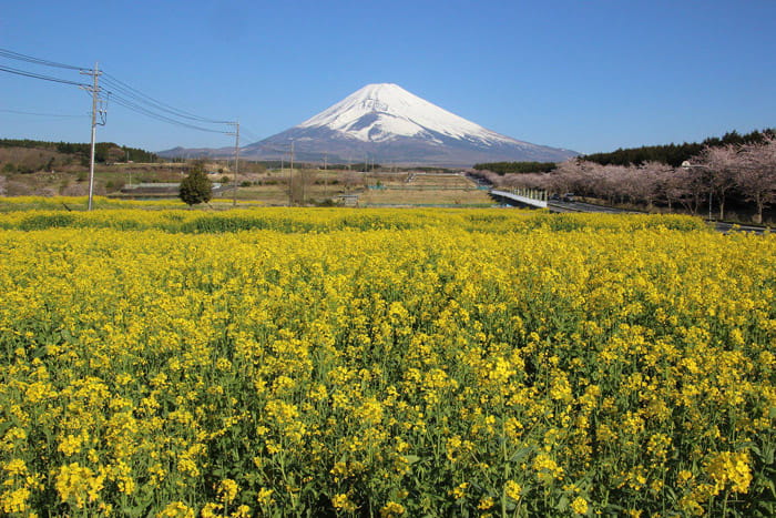 富士山すそのパノラマロード