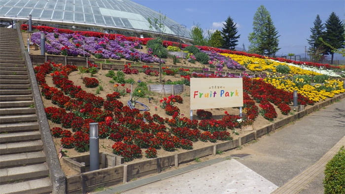 笛吹川フルーツ公園