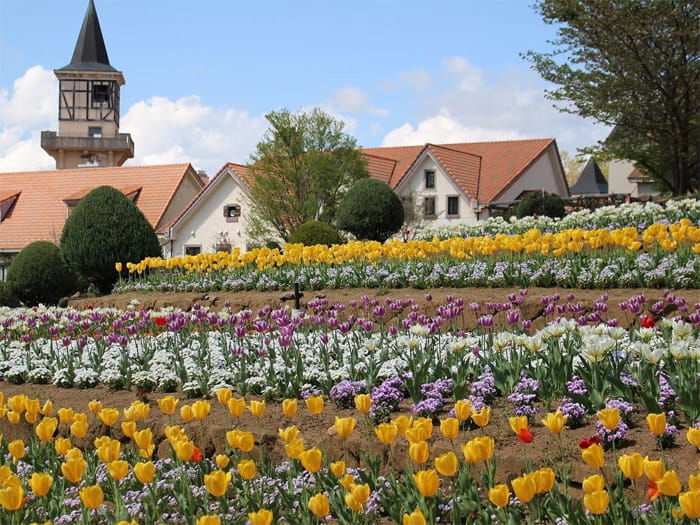 県立フラワーセンター　ハイジの村