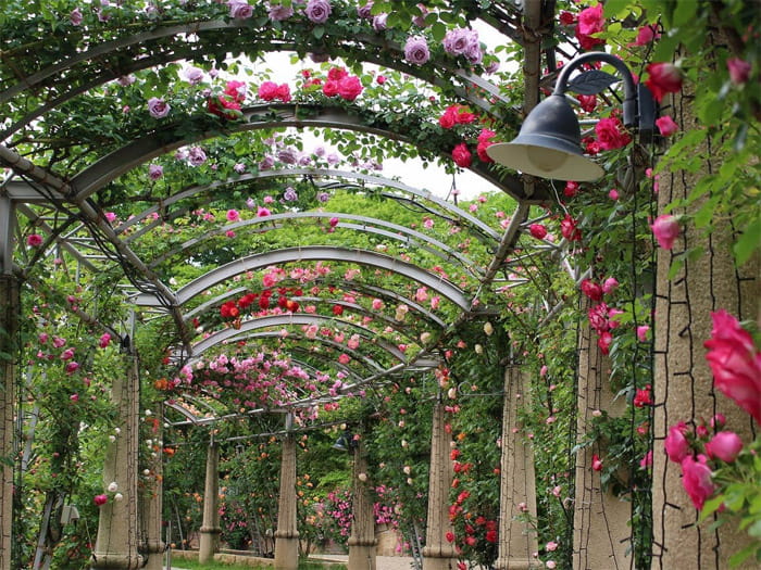 県立フラワーセンター　ハイジの村