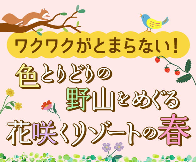 色とりどりの野山をめぐる　花咲くリゾートの春
