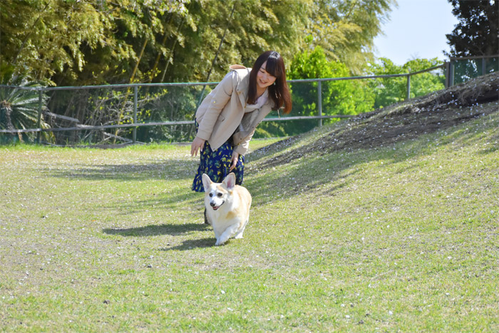 伊豆ぐらんぱる公園