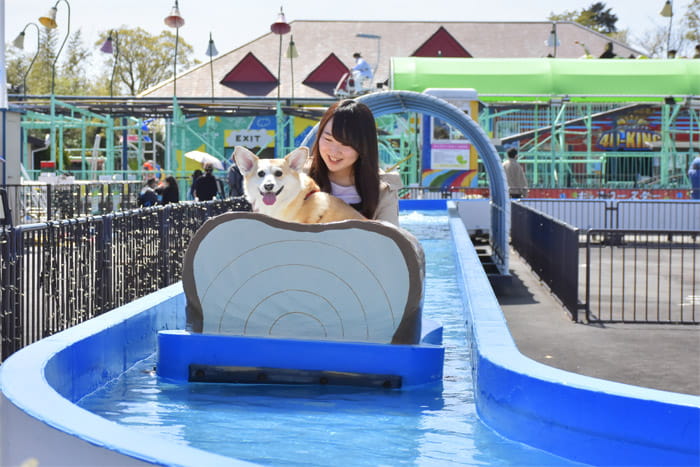 伊豆ぐらんぱる公園