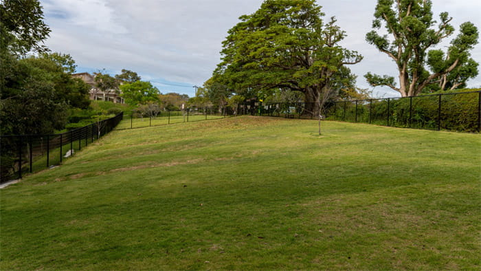 平草原公園ドッグラン