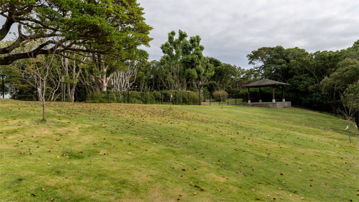 平草原公園ドッグラン