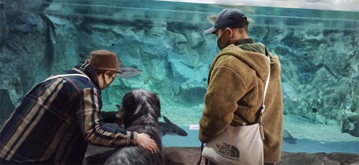 蓼科アミューズメント水族館