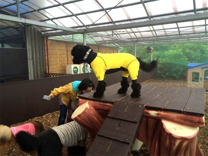 蓼科アミューズメント水族館
